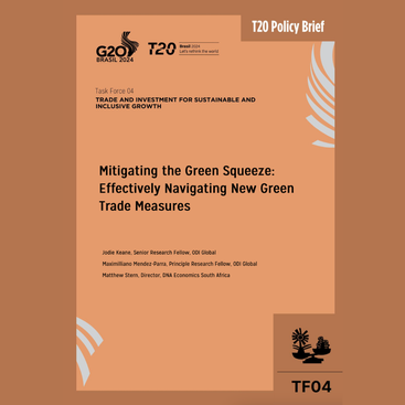 Green industrial policy: how G20 members can foster better practices ...